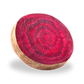 Barbabietola