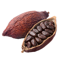 Cacao e tè nero